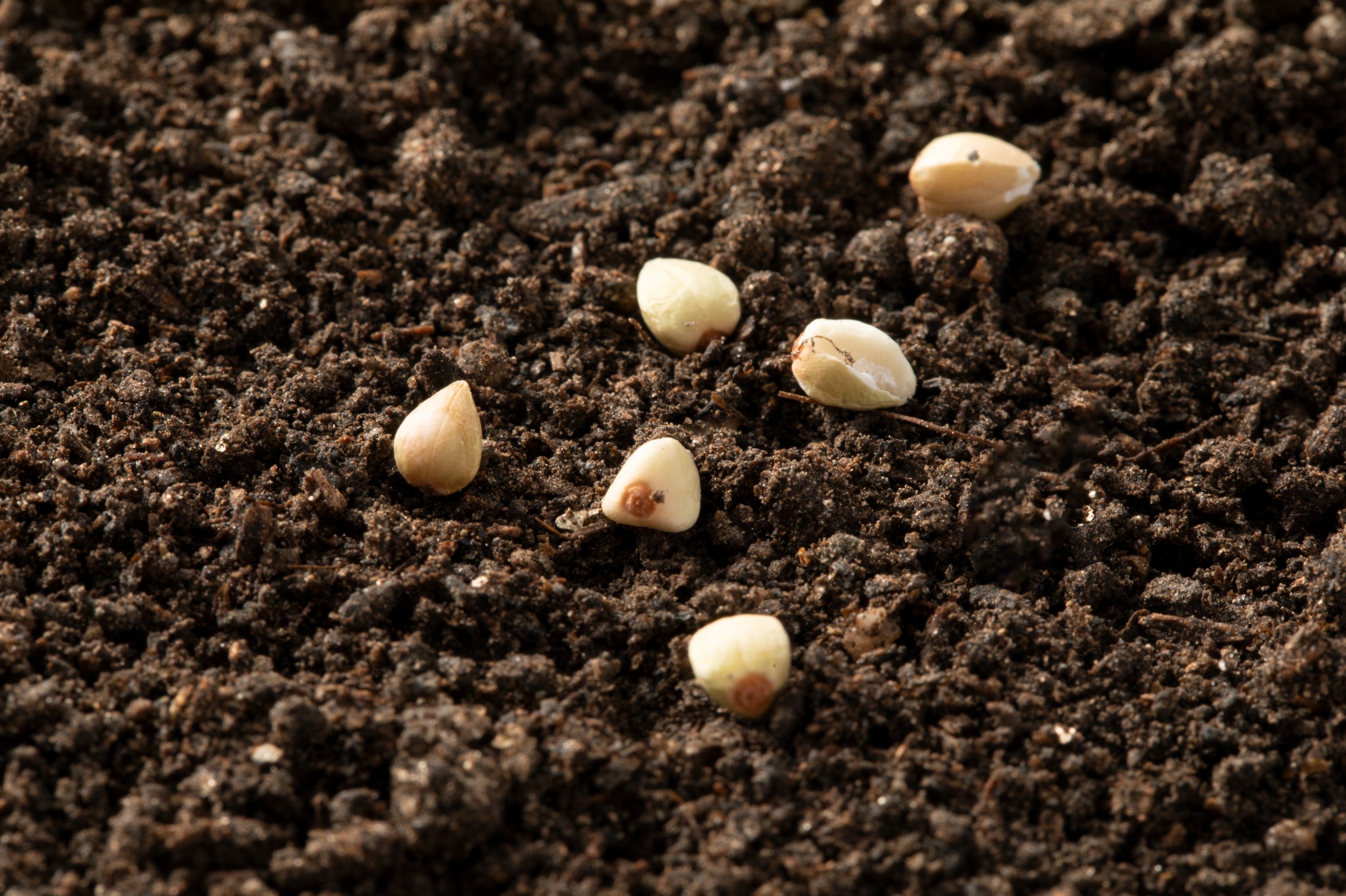 产品介绍 | 土壤粒径/机械组成检测