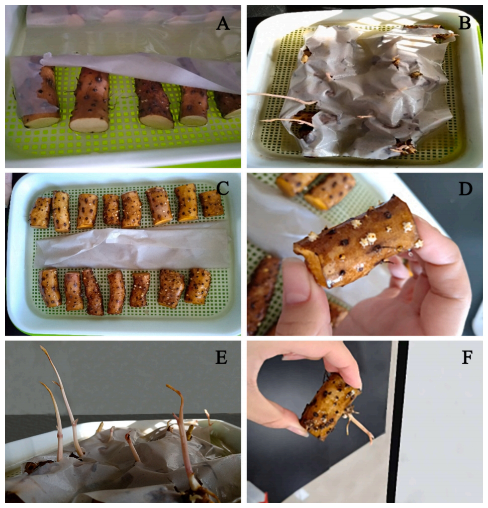 药食同源的检测和指标推荐