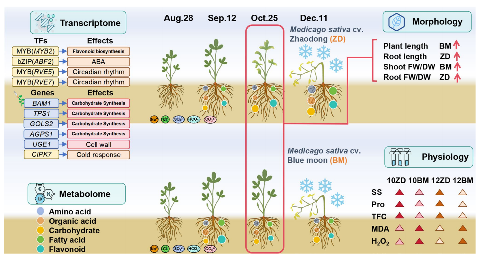 复合胁迫对大田作物影响和相关指标推荐