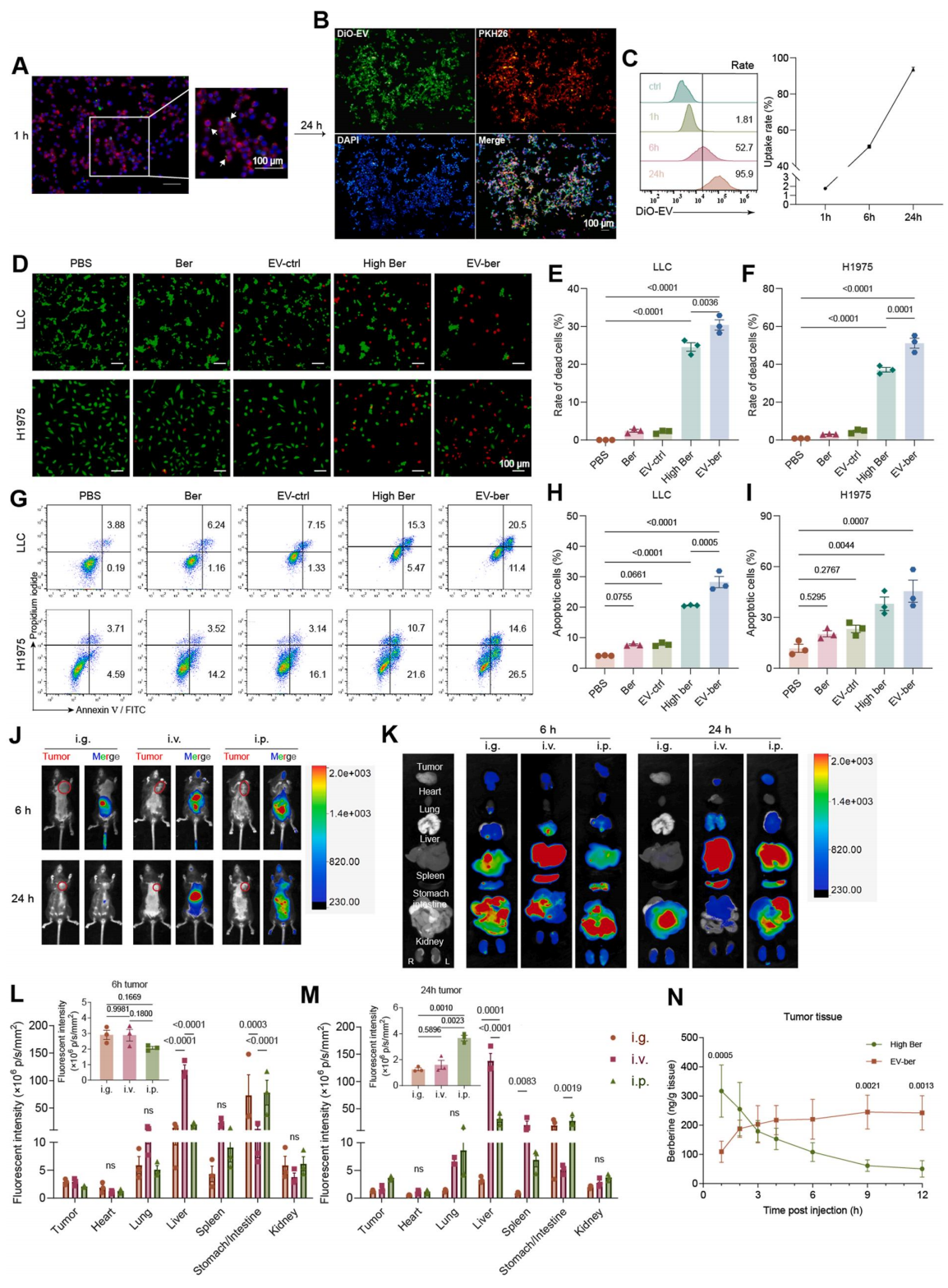 合作文章丨IF 14.6！肿瘤细胞外泌体搭载小檗碱，重塑肿瘤免疫-微生物互作，为肺癌免疫治疗增敏