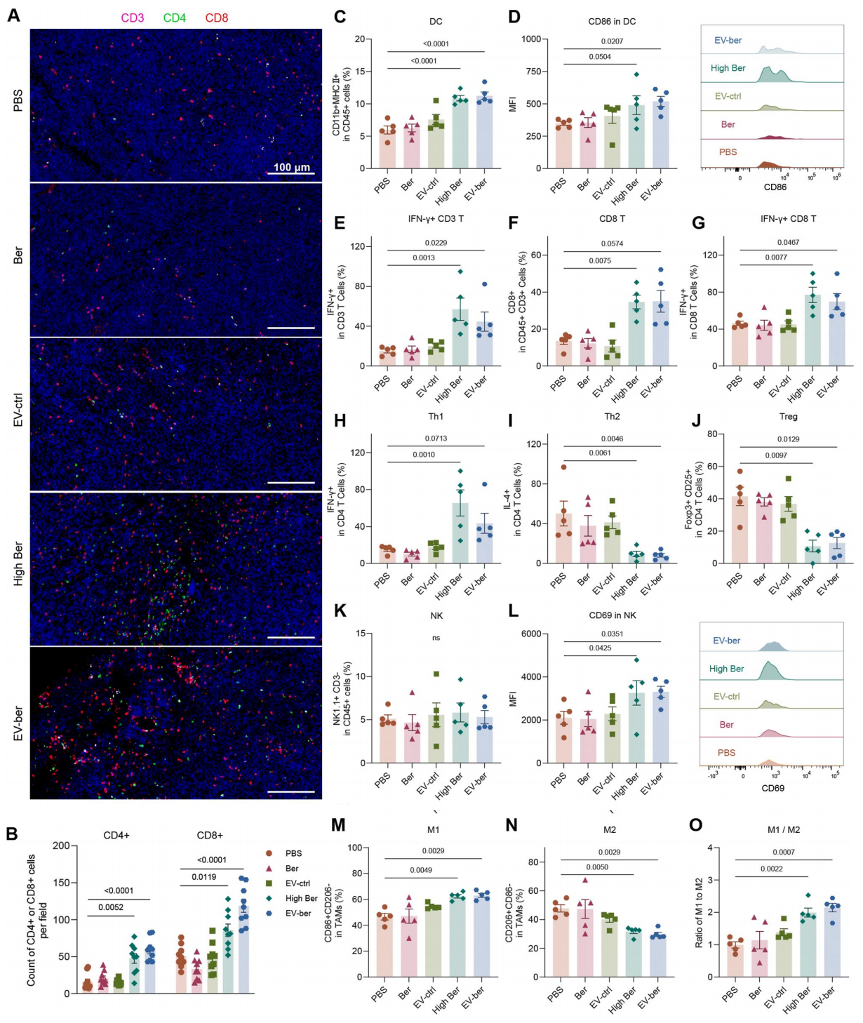 合作文章丨IF 14.6！肿瘤细胞外泌体搭载小檗碱，重塑肿瘤免疫-微生物互作，为肺癌免疫治疗增敏
