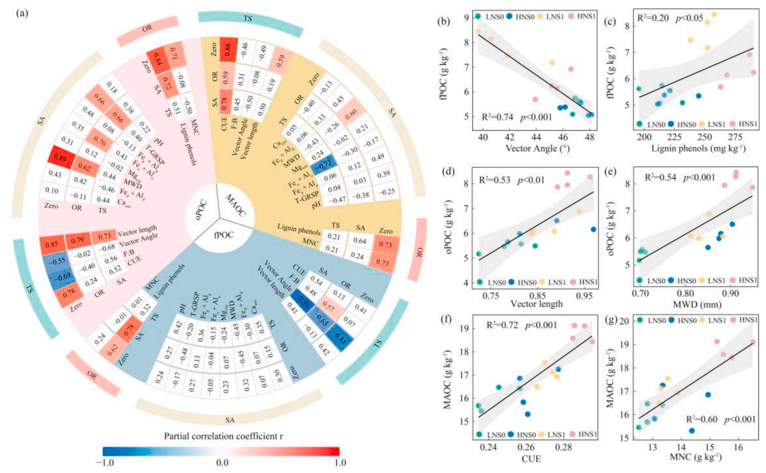 文献分享丨东北农业大学团队揭示氮素有效性调控秸秆还田对土壤有机碳功能组分的影响
