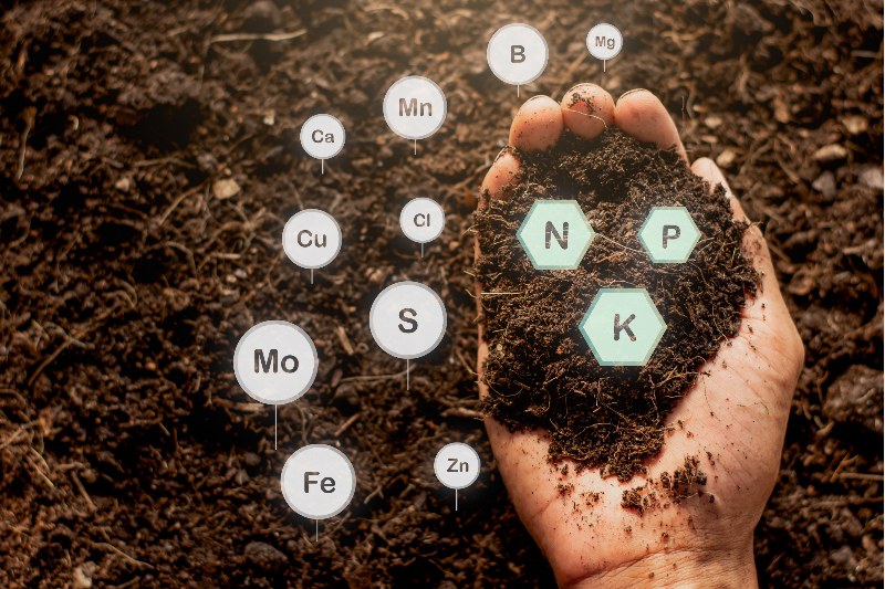 土壤八大离子检测